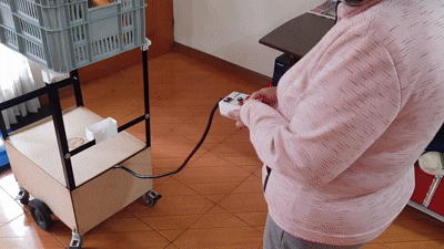 Ebarisbot: Assistive Transport Robot